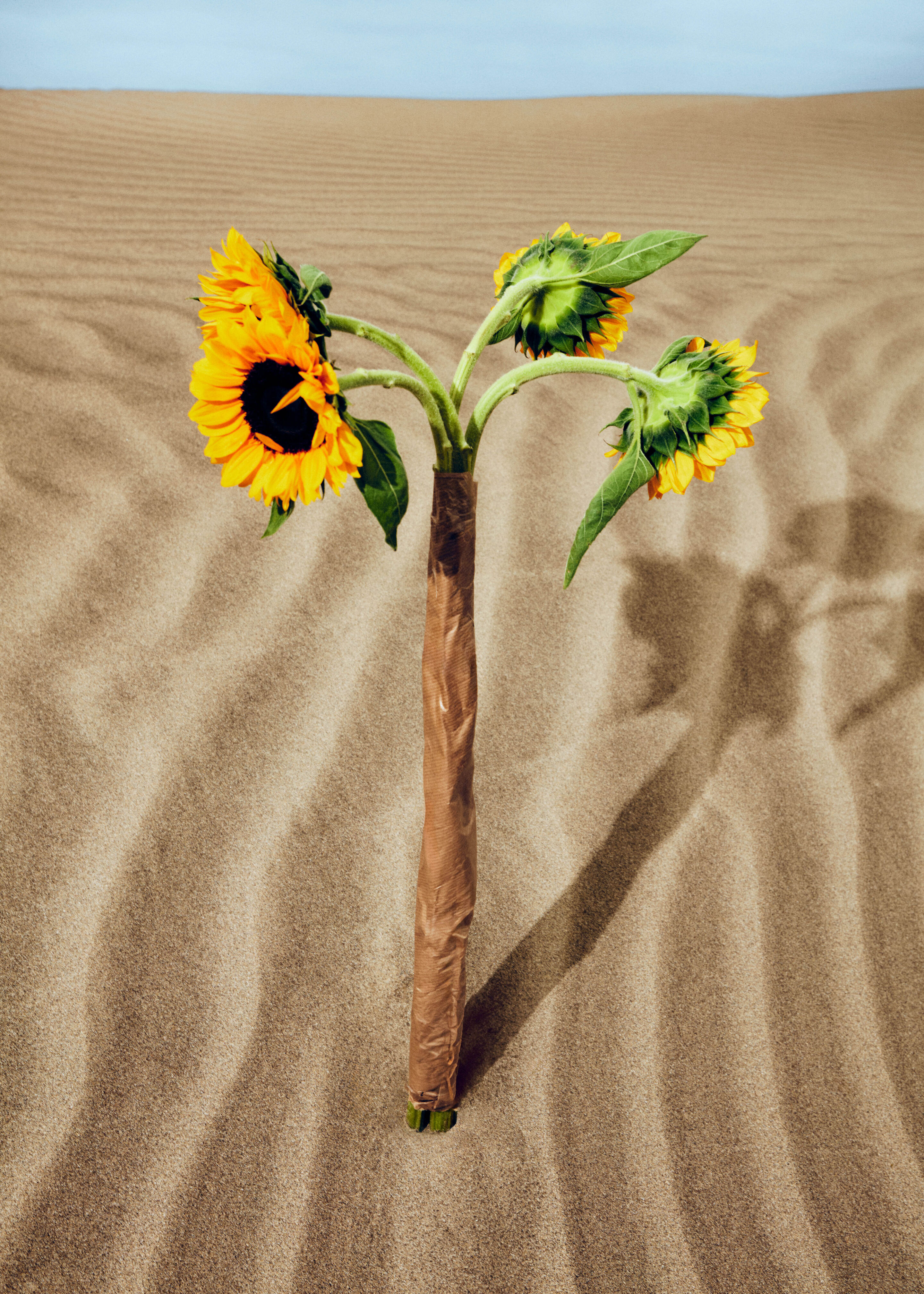 Kenzo kids look for girls and boys: floral outfits with sunflower prints, colorful premium and luxury fashion at Kidsaround