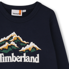 SWEATSHIRT TIMBERLAND 
                    BOY