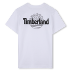 Short-Sleeved T-Shirt TIMBERLAND 
                    BOY