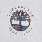 Short-Sleeved Logo T-Shirt TIMBERLAND 
                    BOY