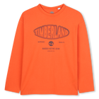 Long-sleeved jersey T-shirt, TIGERLILY, hi-res