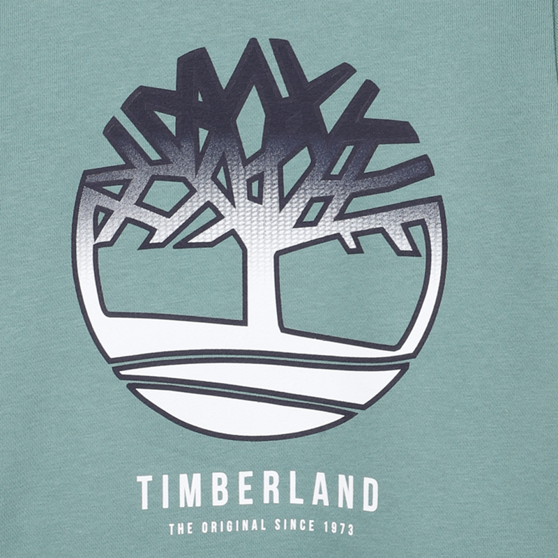 HOODED SWEATSHIRT TIMBERLAND 
                    BOY