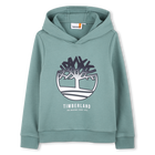 HOODED SWEATSHIRT, FOREST GREEN, hi-res