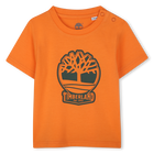 Short-sleeved T-shirt TIMBERLAND 
                    BOY