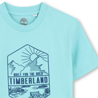 Short-Sleeved T-Shirt TIMBERLAND 
                    BOY
