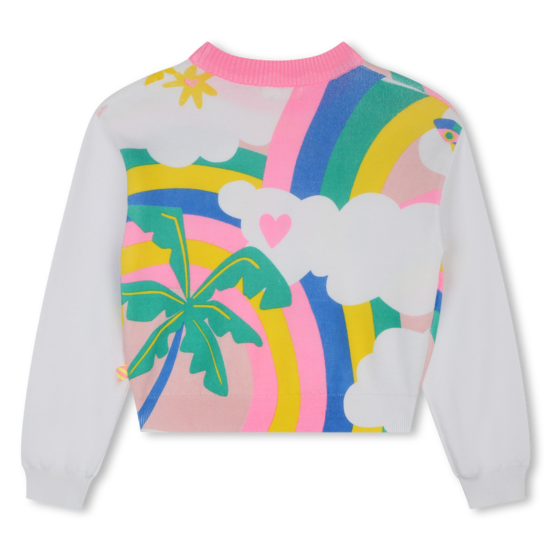 Multicolored cotton sweater