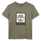 Short-Sleeved T-Shirt TIMBERLAND 
                    BOY