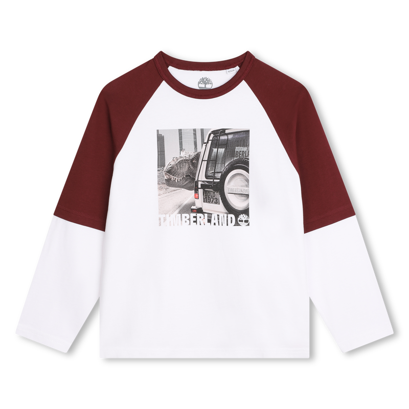 Two-Tone Graphic Print T-Shirt TIMBERLAND 
                        BOY