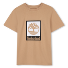 Short-Sleeved T-Shirt, STONE, hi-res