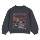 Sweatshirt, CHARCOAL GREY, hi-res