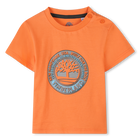 Short-sleeved T-shirt TIMBERLAND 
                    BOY