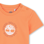 Short-Sleeved T-Shirt TIMBERLAND 
                    BOY