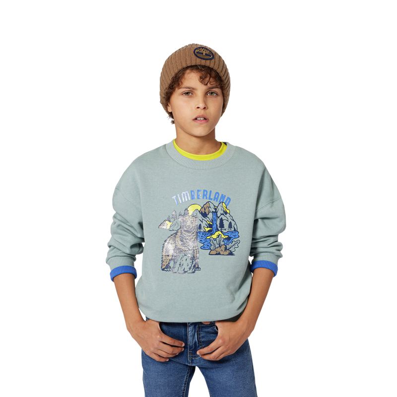 Brushed fleece sweatshirt TIMBERLAND 
                    BOY
