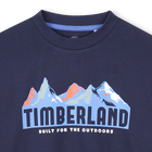 Long-sleeved jersey T-shirt TIMBERLAND 
                    BOY