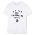 Two-pack of printed T-shirts TIMBERLAND 
                    BOY