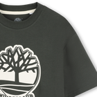 Two-tone T-shirt with logo TIMBERLAND 
                    BOY