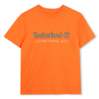 Short sleeve t-shirt, FIRECRACKER, hi-res