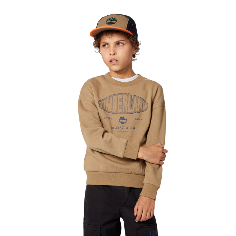 Brushed fleece sweatshirt TIMBERLAND 
                        BOY