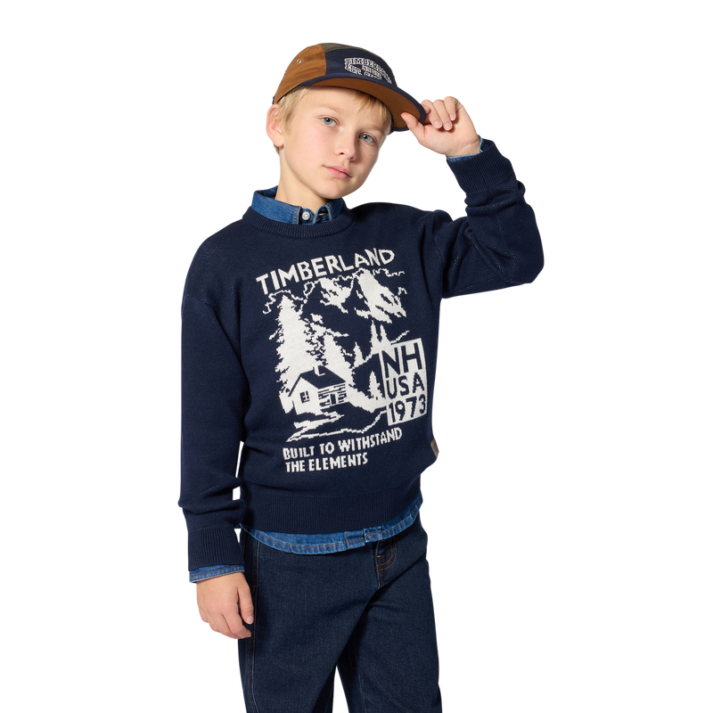 Sweater TIMBERLAND 
                        BOY