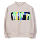 Fleece sweatshirt BILLIEBLUSH 
                    BOY