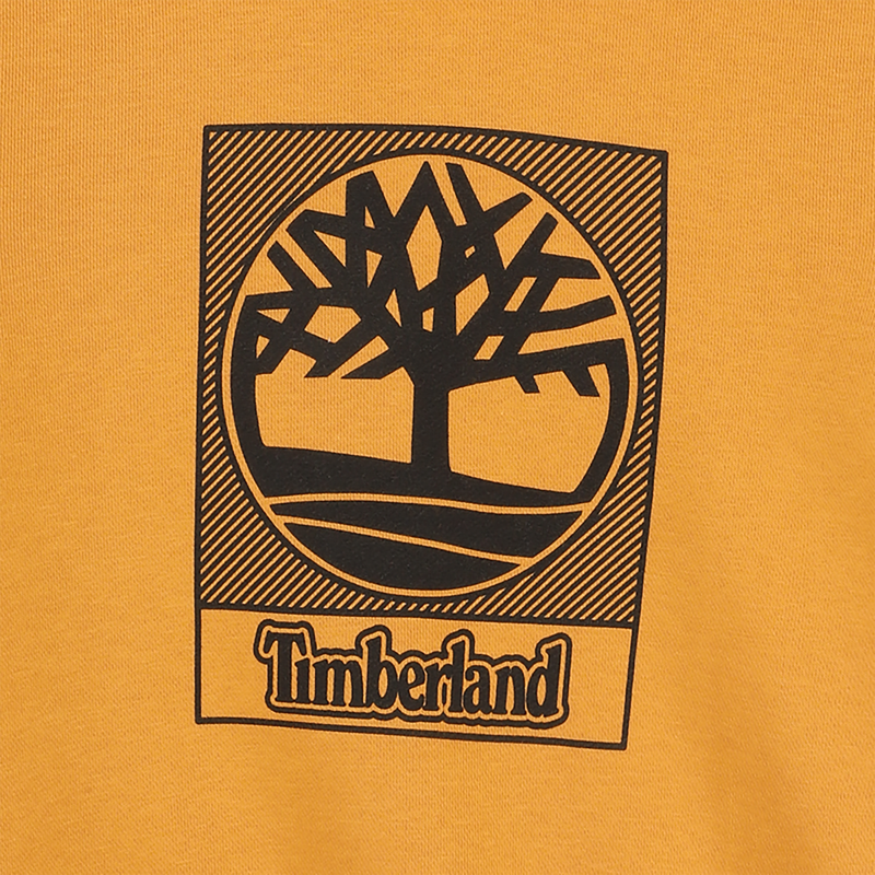 Hoodie TIMBERLAND 
                        BOY