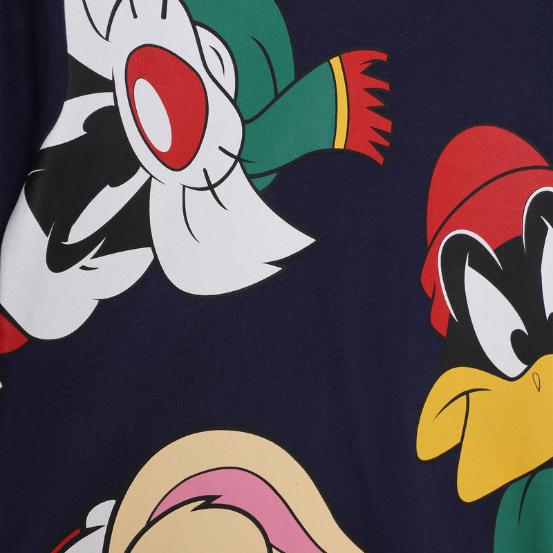 Pull looney top tunes homme