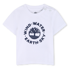 Short-Sleeved T-Shirt, WHITE, hi-res