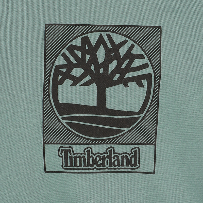 Hoodie TIMBERLAND 
                        BOY