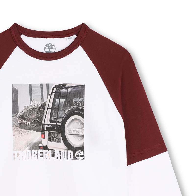 Two-Tone Graphic Print T-Shirt TIMBERLAND 
                        BOY