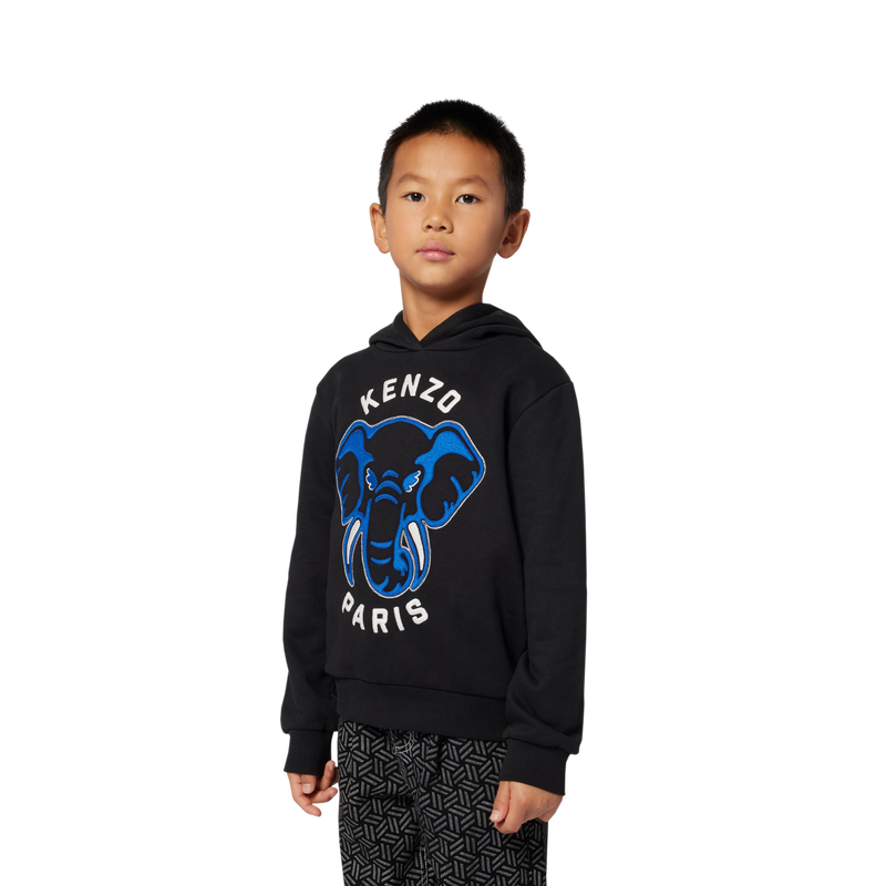 Hoodie KENZO KIDS 
                    BOY