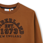 Sweatshirt TIMBERLAND 
                    BOY